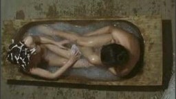 Taxidermia (2006)