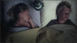 Holger and Vilde (2010)