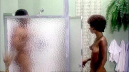 Black Shampoo (1976)
