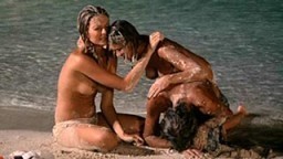 Tintorera: Killer Shark (1977)